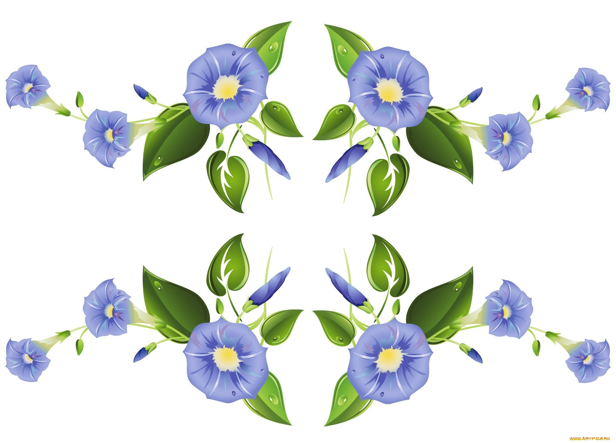  ,  , flowers, , 